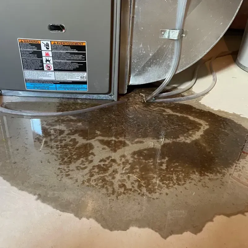 Appliance Leak Cleanup in Webster Parish, LA